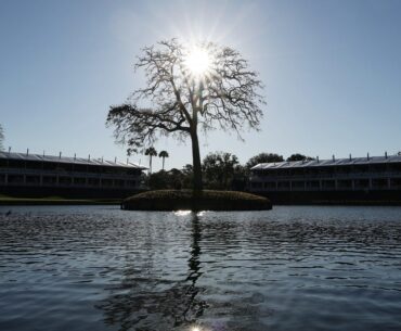 TV info, streaming, tee times