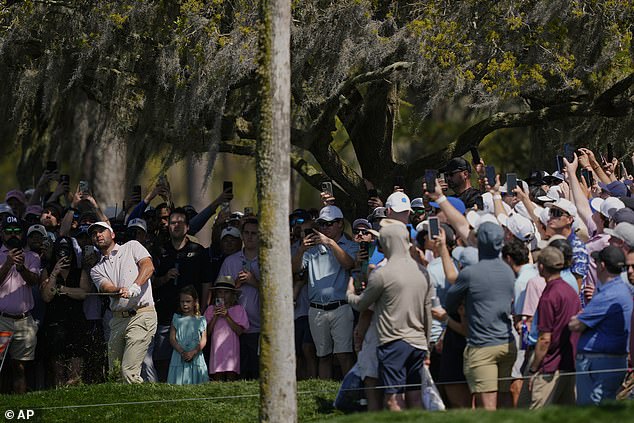 World No 1 Scottie Scheffler also fell victim to the conditions during the third round on Saturday