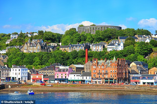 Despite the club's social media appeal for the culprit to come forward, no one has - and members' suggestions to fly a drone over the town (pictured, file photo) to see if anyone's garden was suddenly looking fresher were shot down