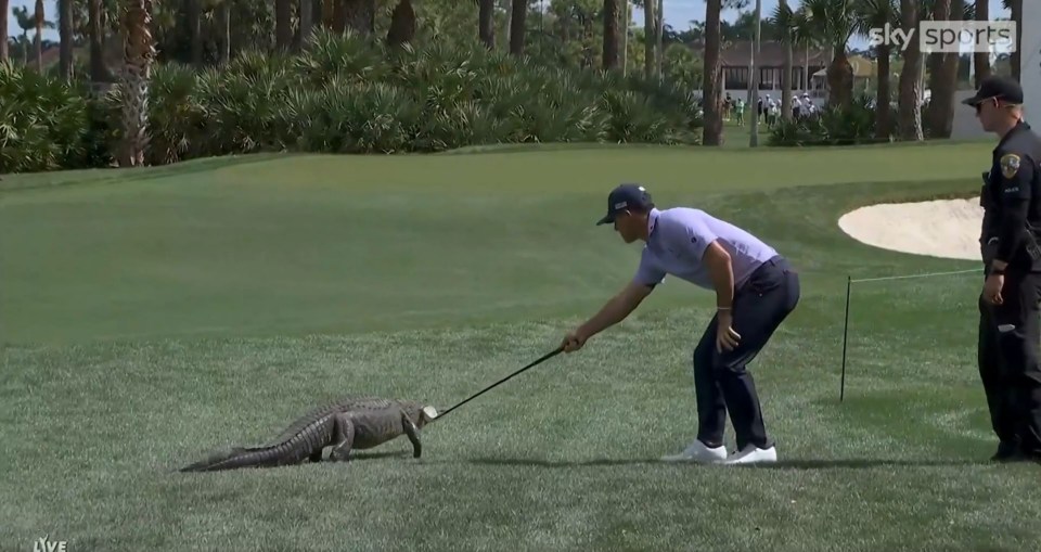 The American showed everyone how its done as he guided the gator back to the water