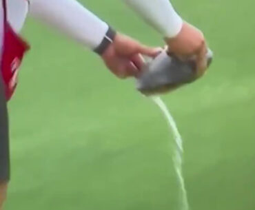 Moment turtle PEES all over golf course as caddie carries it off green in bizarre scenes