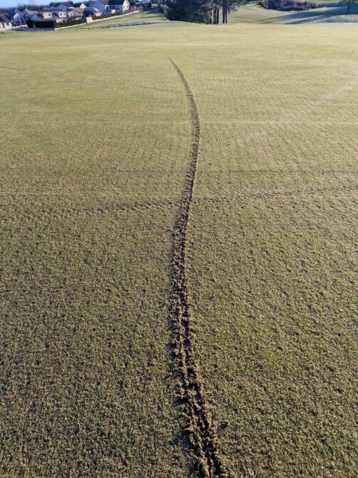 golf course vandals