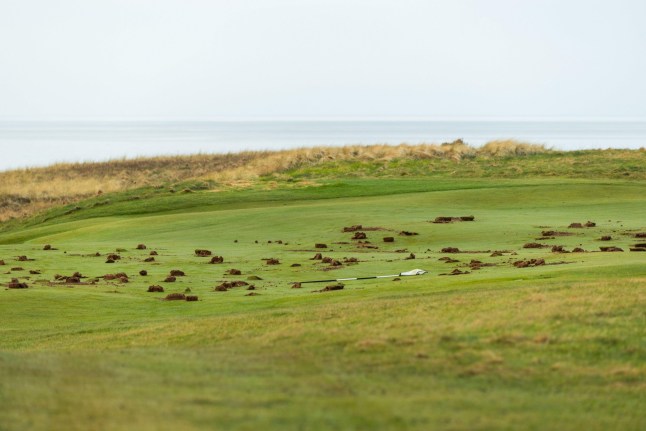 Alamy Live News. 3A1CJFN Ayr, UK. 08 MAR, 2025. Damage caused to greens as members of group Palestine action caused damage to the Trump owned site of Trump Turnberry Golf Club in Scotland. Damage included to the club house which was sprayed with red paint and damage to the greens on several of the courses holes. This comes as Donald Trump stated his plans to turn Gaza into a westernised resort. Credit Milo Chandler/Alamy Live News This is an Alamy Live News image and may not be part of your current Alamy deal . If you are unsure, please contact our sales team to check.