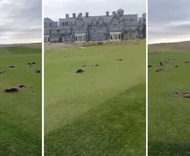 Greens dug up and Palestinian flags planted at Trump’s Doonbeg golf course – The Irish Times