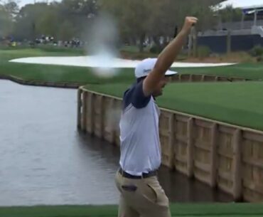 USA golf star beats Rory McIlroy and Scottie Scheffler to rare hole-in-one feat as he hits Players Championship ace