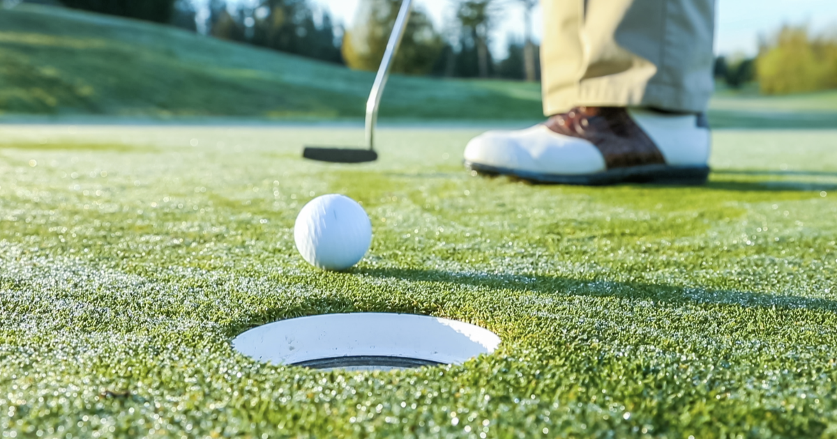 Lafayette launches 25% weekday greens fee discount for veterans Annual Michigan Golf Show is back bigger and better than ever