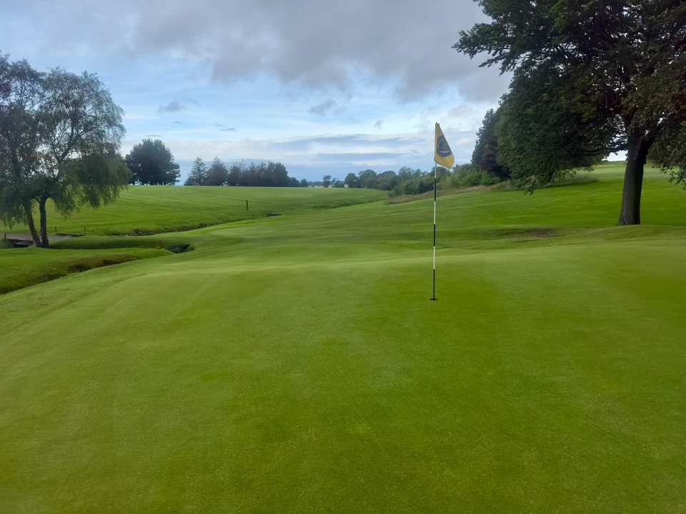 Golf course green with flag.