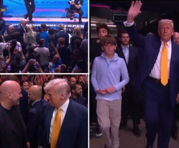 Trump attends UFC fights in Florida with star-studded cast — and receives insane applause while entering arena