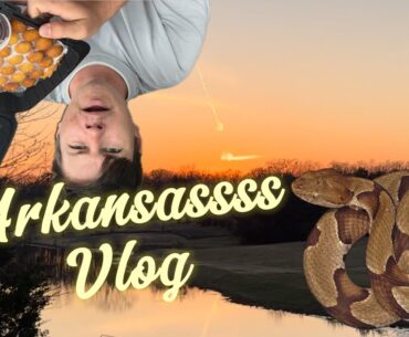 Persimmon Ridge Vlog | The Natural State