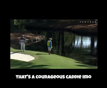 Brave Caddie Drives Away Gator! #golf #pgatour #briangay