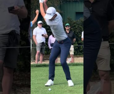 will zalatoris golf swing slow motion  IRONS
