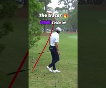 Cameron Young unbelievable Golf SWING. | (Golf Classics) #shorts #golfswing  #golfswings  #golf
