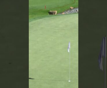 Charley HOLE OUT 🏌️‍♀️⛳