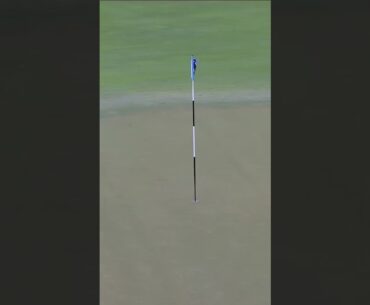 WHAT A SHOT BY LUCAS HERBERT 😳 #golf #LIVGolf