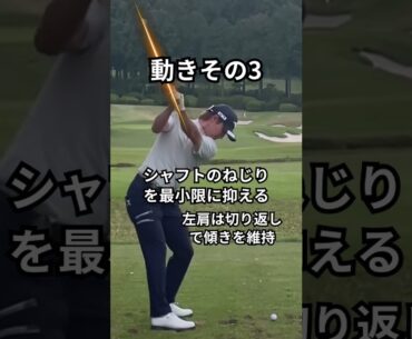 平田プロ…日本No.1スイング！？