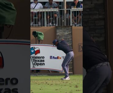 Tony Finau with an Ace you HAVE TO SEE ⛳