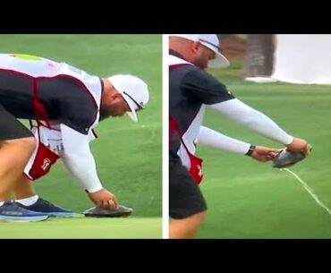 Golfer's Caddie Picked up a Turtle at the Houston Open... and what Happened Next Left Fans Horrified