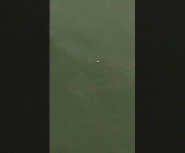 A chip in on 18 from Talor Gooch! Watch LIVE on FOX Sports #LIVGolfMiami #golf #smashgc