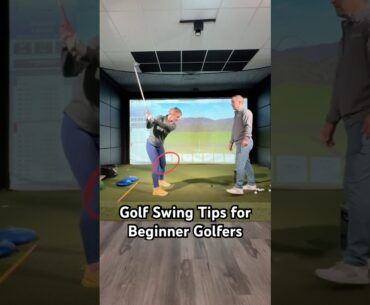 Golf Swing Tips for Beginners: My FIRST Golf Lesson