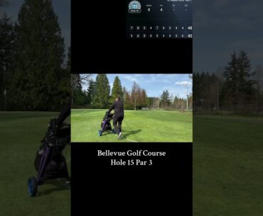 Bellevue Golf Course Hole 15 Par 3 #shortsfeed #golfschool #golf #shortsbeta #realreel #pubg ar3