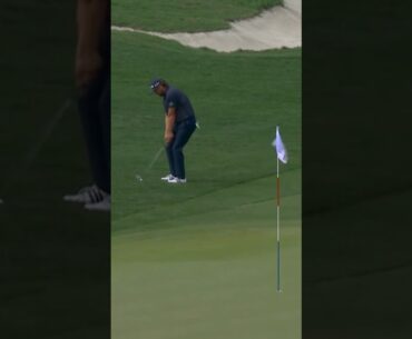 정밀한 어프로치 샷 I 앤드류 노박 (Andrew Novak)