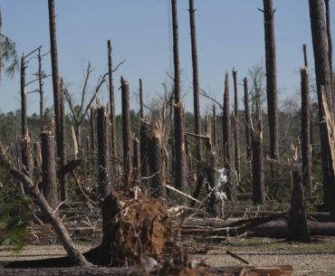 tornado damage