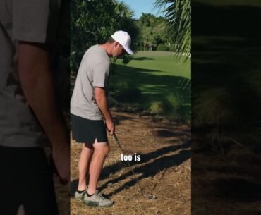 Scottie Scheffler's secret for escaping the pine straw...