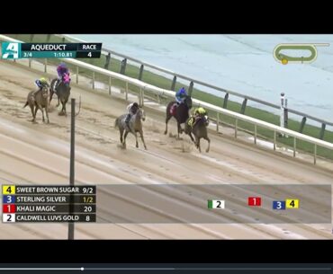 Horse Racing Sterling Silver Wins The $125K Biogio's Rose Stakes At Aqueduct Sunday April 6 2025