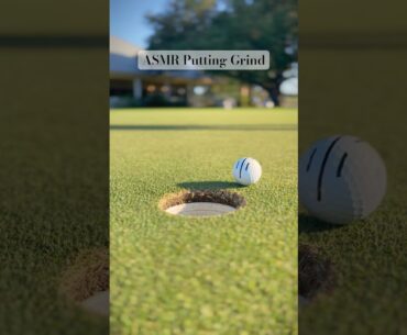 Wilson putters are the🐐#golf #foryou #golfgear #golfskill #golflife