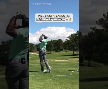 Tiger Woods is a legend 😭 #tigerwoods #golf #golfing #sports #pgatour