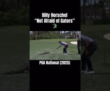 Billy Horschel”s Gator Encounter 🐊 at ⛳️ PGA National ⛳️ #golf #pga #gators