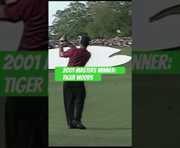 2001 Masters Winner Tiger Woods #tigerwoods  #themasters #golfswing #golf