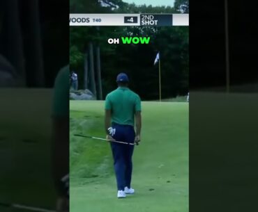 Relatable Tiger Moment Incoming ⛳ #shorts  #golf #tigerwoods #goat  #sports #highlights