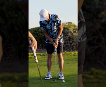 Cobra DS-Adapt x Palm Tree Crew