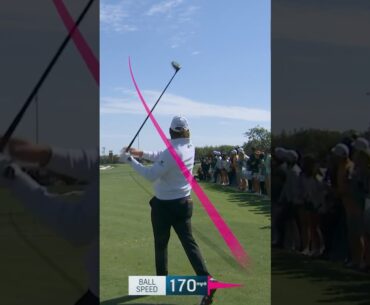 Andrew Novak Driver Swing 2025 #andrewnovak   #pgatour #golfswing #golf