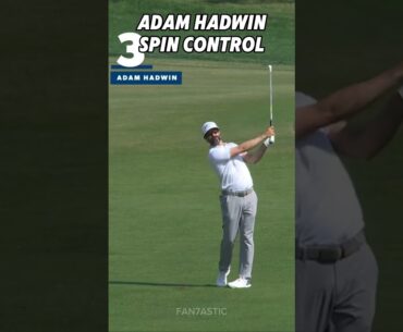 PGA Adam Hadwin Spin Control Golf Shot