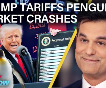 Trump’s Tariffs Send Markets Plunging and Penguins Waddling to a Trade War | The Daily Show