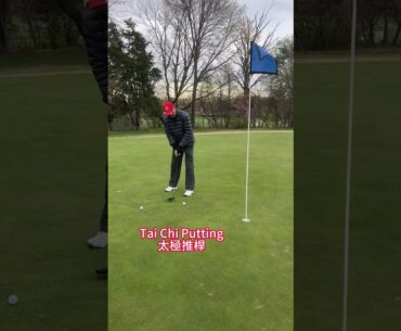 #Shorts Tai Chi Golf #taichiforgolf #太極高爾夫 Iron Shots at Ruth Park GC