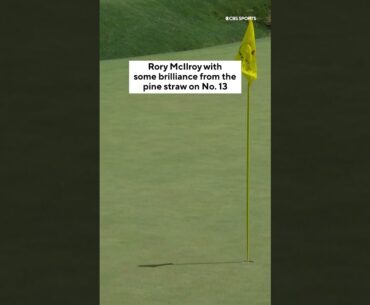 Rory McIlroy with an incredible shot from the pine straw #themasters #shorts