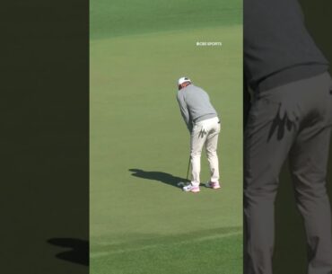 Rory McIlroy birdied from behind a tree #shorts