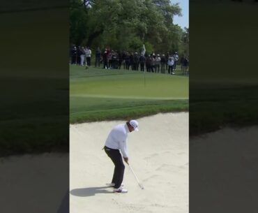 Andrew Novak Greenside Bunker Swing 2025 #andrewnovak   #pgatour #golfswing #golf
