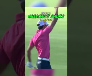 Unbelievable Golf Shots Only Pros Can Hit!