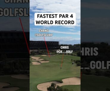 World Record 🥇👀 #golf #golfer #golfers #golfshorts #golfswing @WellUnderPar