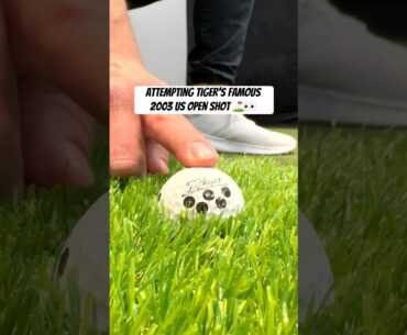 Trying Tiger's Famous US Open Golf Shot #golfswing