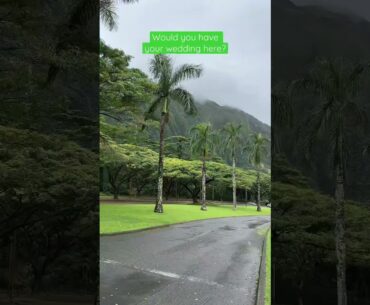 Amazing wedding venue in Hawaii - Ko’olau Golf Course! #hawaii #hawaiilife #islandlife