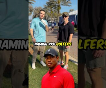 Naming Pro Golfers Until Someone Messes Up…