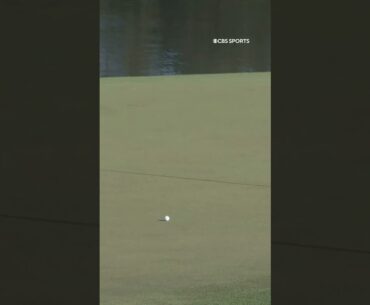 "The shot of a lifetime!" #themasters #shorts