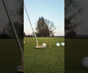Putting gate drill #golf #swing #putting #putt #drill #green #practice
