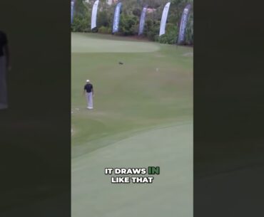 Tiger Woods Explains His Chipping Feel — It’s Not What You Think 🔥🐐#shorts #golf #tigerwoods