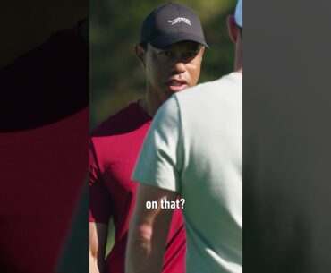 Tiger Woods noticed it. 👀  #taylormade #golf #shorts
